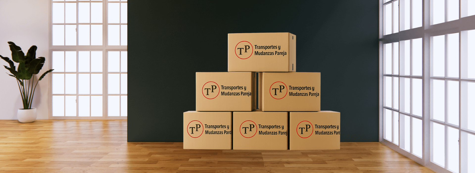 Mudanzas profesionales